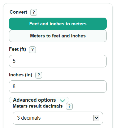Example inputs for Feet and Inches to Meters Converter
