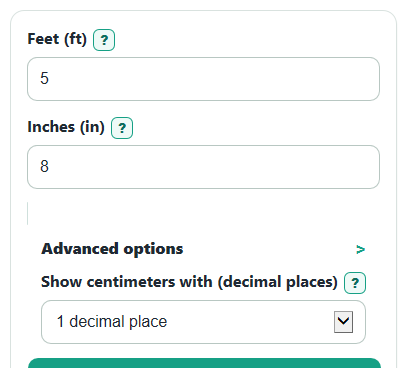 Example inputs for Feet and Inches to Centimeters Converter