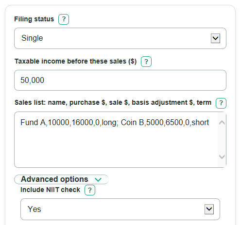 Example inputs for Capital Gains Tax Calculator