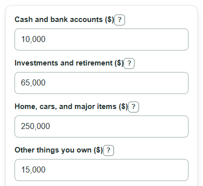 Example inputs for Net Worth Calculator